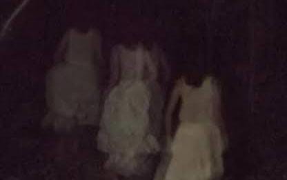 Bukan Sekadar Dongeng Hilang di Hutan: Menguak Misteri Tando Janin dan Padi Kosong dalam Legenda Orang Bunian